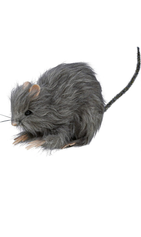 Rato Pequeno