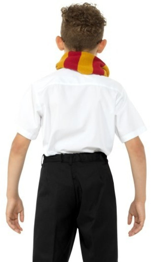 Set de Feiticeiro Harry para criança